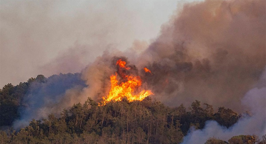 স্পেনে ভয়াবহ দাবানল, ১২ জনের মৃত্যু