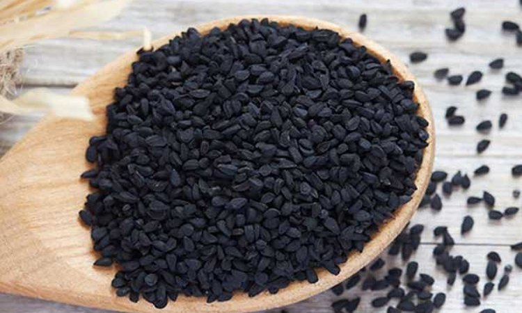 সকল রোগের মহৌষধ কালোজিরা