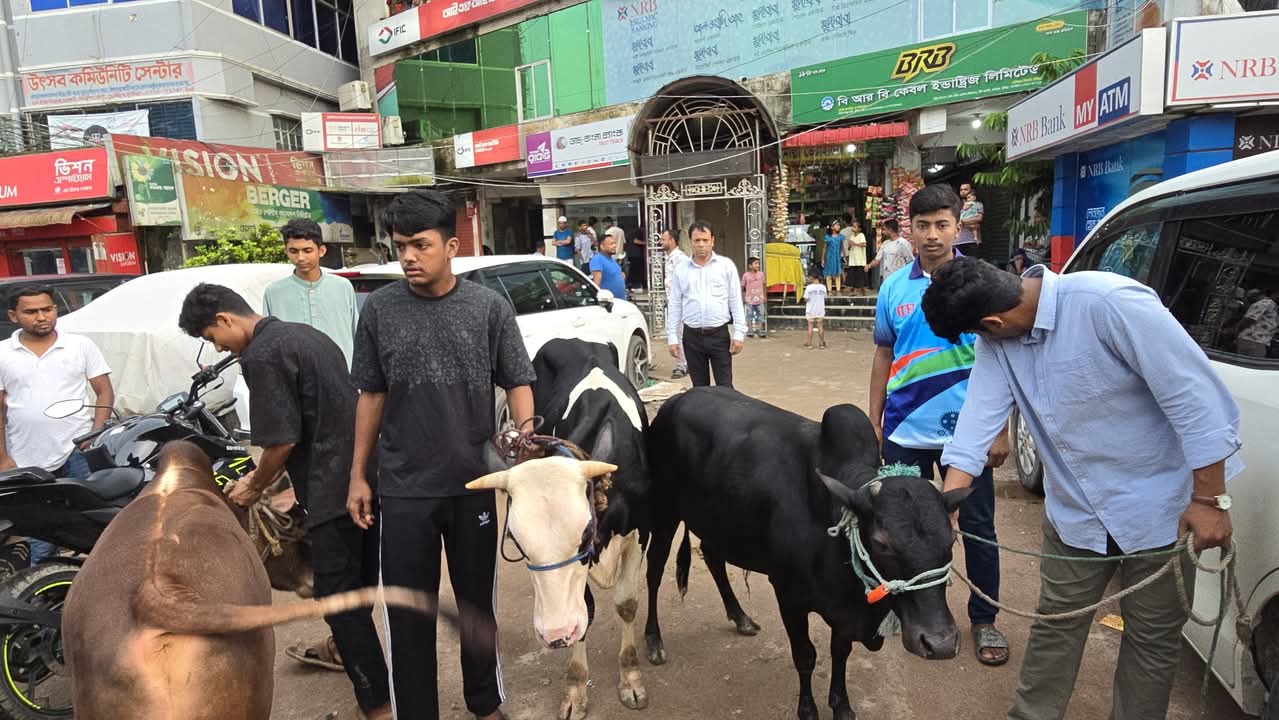 নিজ এলাকায় শহীদ, আহতদের নিয়ে ঈদ ও কোরবানি করবেন- হাসনাত