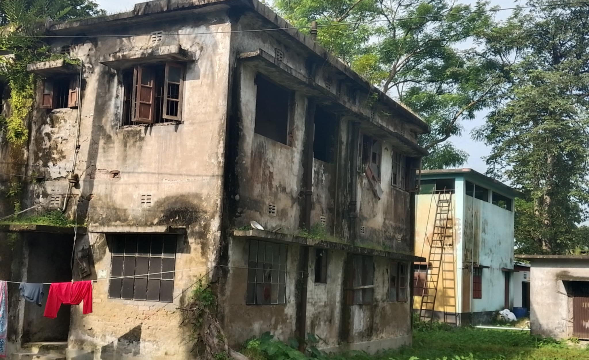 ভেঙে পড়েছে বুড়িচং উপজেলা মৎস্য বীজ খামারের অবকাঠামো