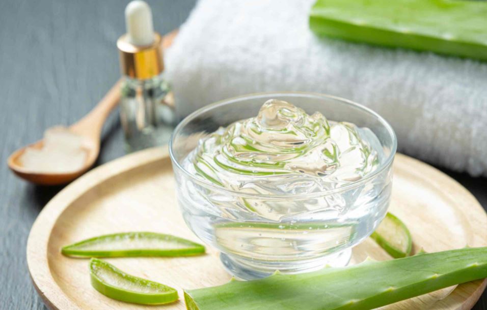 ঘরোয়া ভাবে তৈরি করুন ত্বক পরিচর্যার জেল