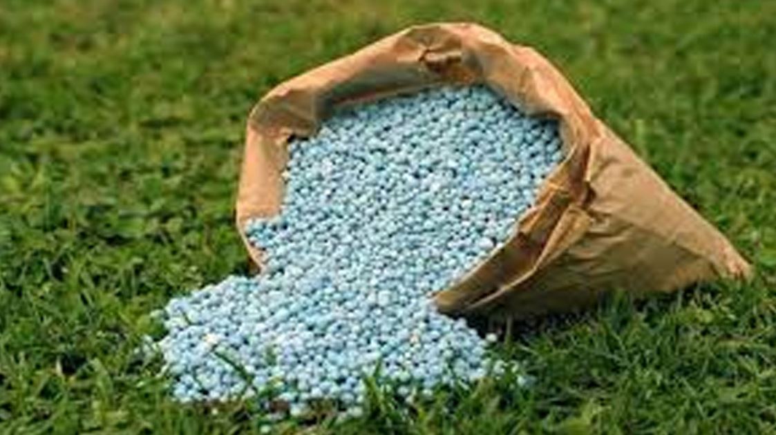 রাশিয়া ও সৌদি আরব থেকে ৭৫ হাজার টন সার কিনবে সরকার