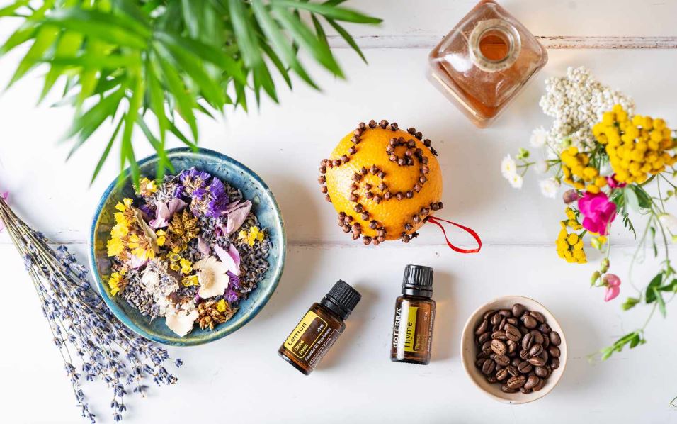 ঘরে বসেই তৈরি করুণ প্রাকৃতিক এয়ার ফ্রেশনার