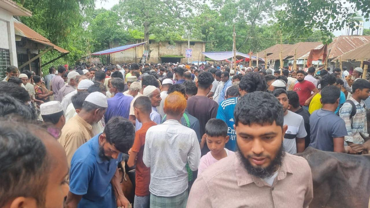 সড়ক বন্ধ করে পশুর হাটে দুর্ভোগ