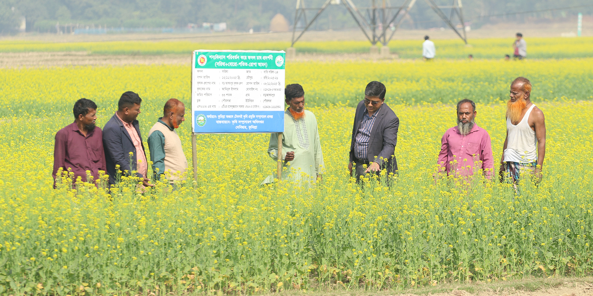 দেবীদ্বারে রোপা আমনের পর সরিষায় সোনালি সম্ভাবনা