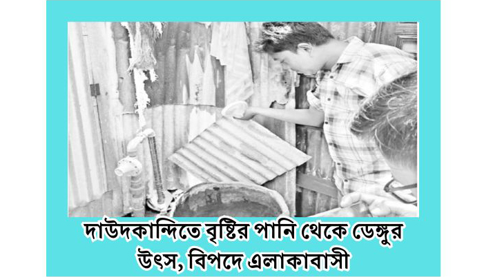 দাউদকান্দিতে বৃষ্টির পানি থেকে ডেঙ্গুর উৎস, বিপদে এলাকাবাসী