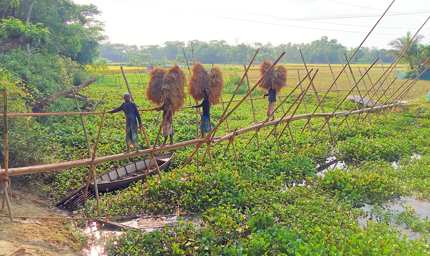 মনোহরগঞ্জে ছয়শত পরিবারের একমাত্র ভরসা দৈর্ঘ্য দেড়শত বাঁশের সাঁকো