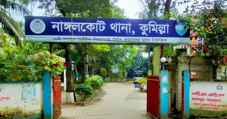 নাঙ্গলকোটে ৭ মাসের শিশুকে বালিশচাপা দিয়ে হত্যা করল মা