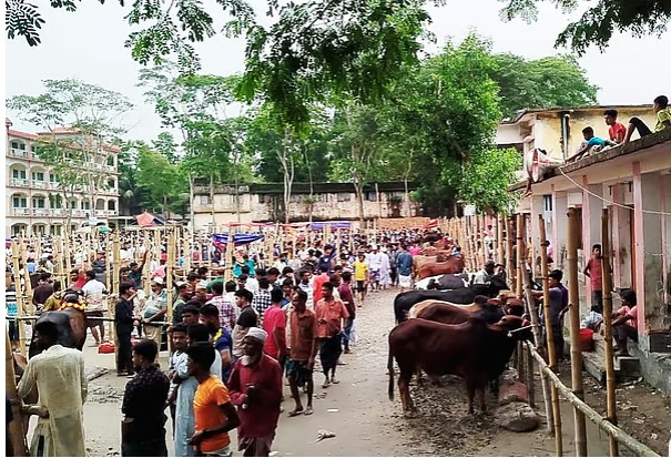 ম্যাজিস্ট্রেটের সঙ্গে দুর্ব্যবহার, যুবদল নেতার মুচলেকা