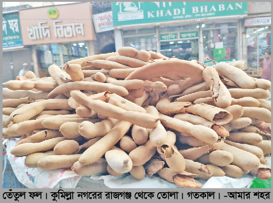 জিভে পানি আসা ফল তেঁতুল