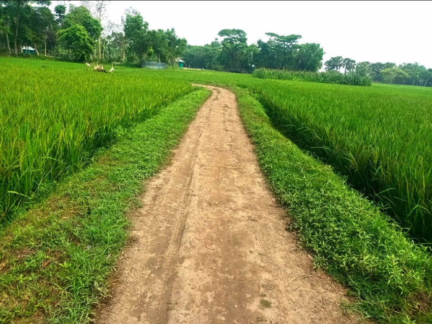 বরুড়ায় স্বেচ্ছাশ্রমে নির্মিত সড়কটি রক্ষার দাবি