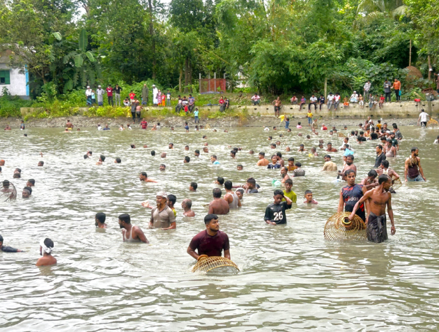 শৌখিন শিকারিদের পলো দিয়ে মাছ ধরার উৎসব