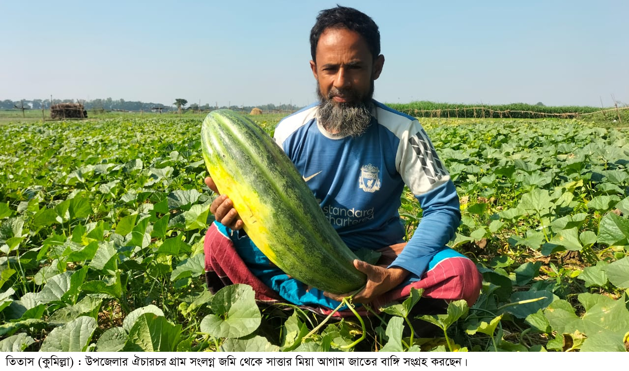 আগাম বাঙ্গি চাষে সাত্তারের বাজিমাত