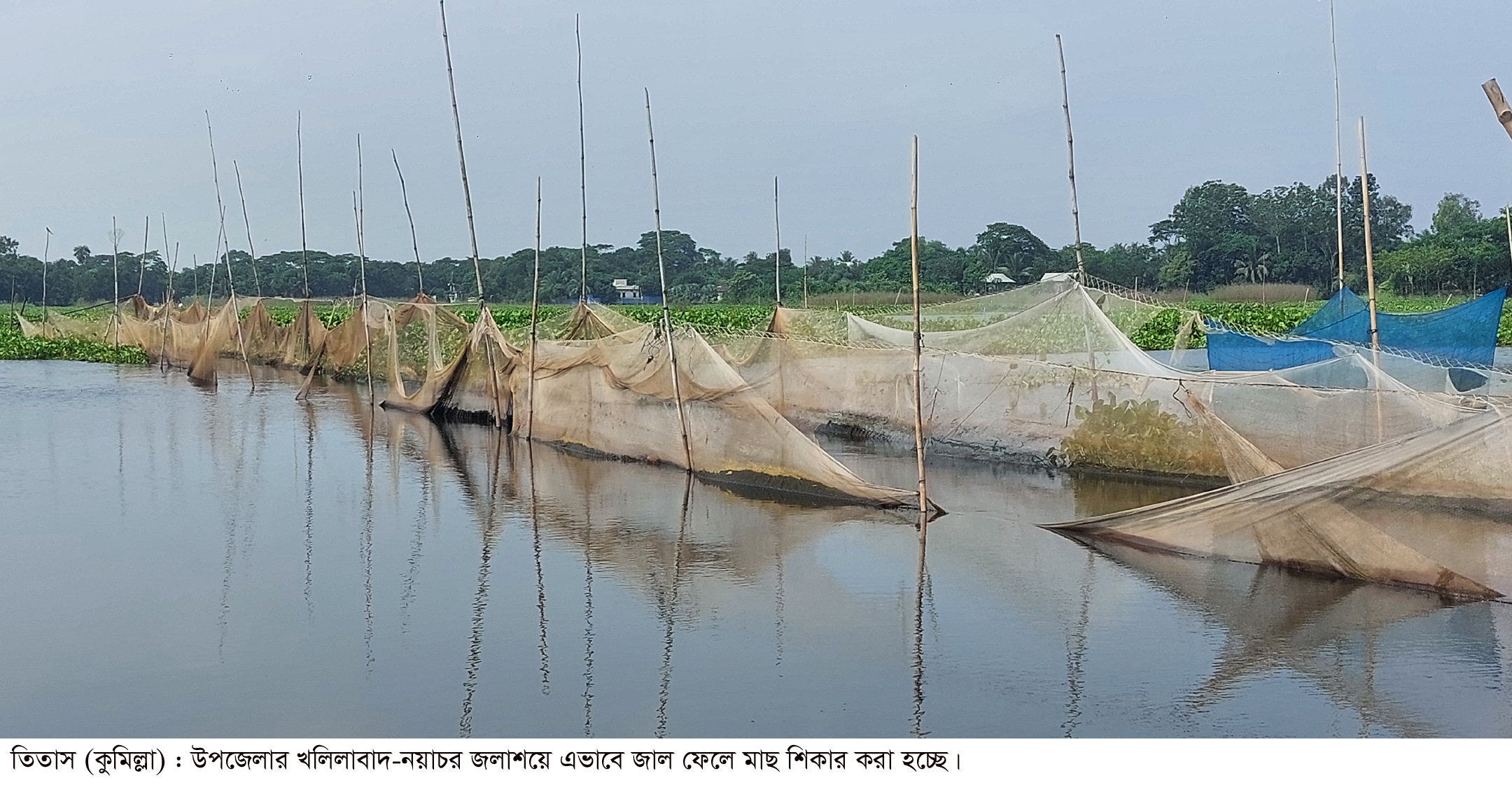 হারিয়ে যাচ্ছে দেশি প্রজাতির মাছ