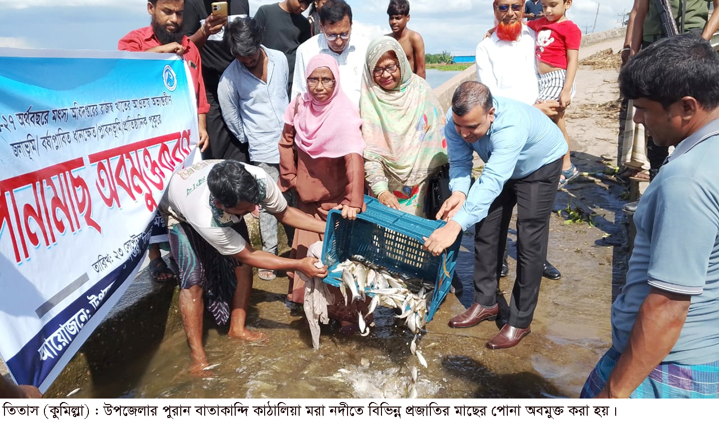 তিতাসে উন্মুক্ত জলাশয়ে মাছের পোনা অবমুক্ত