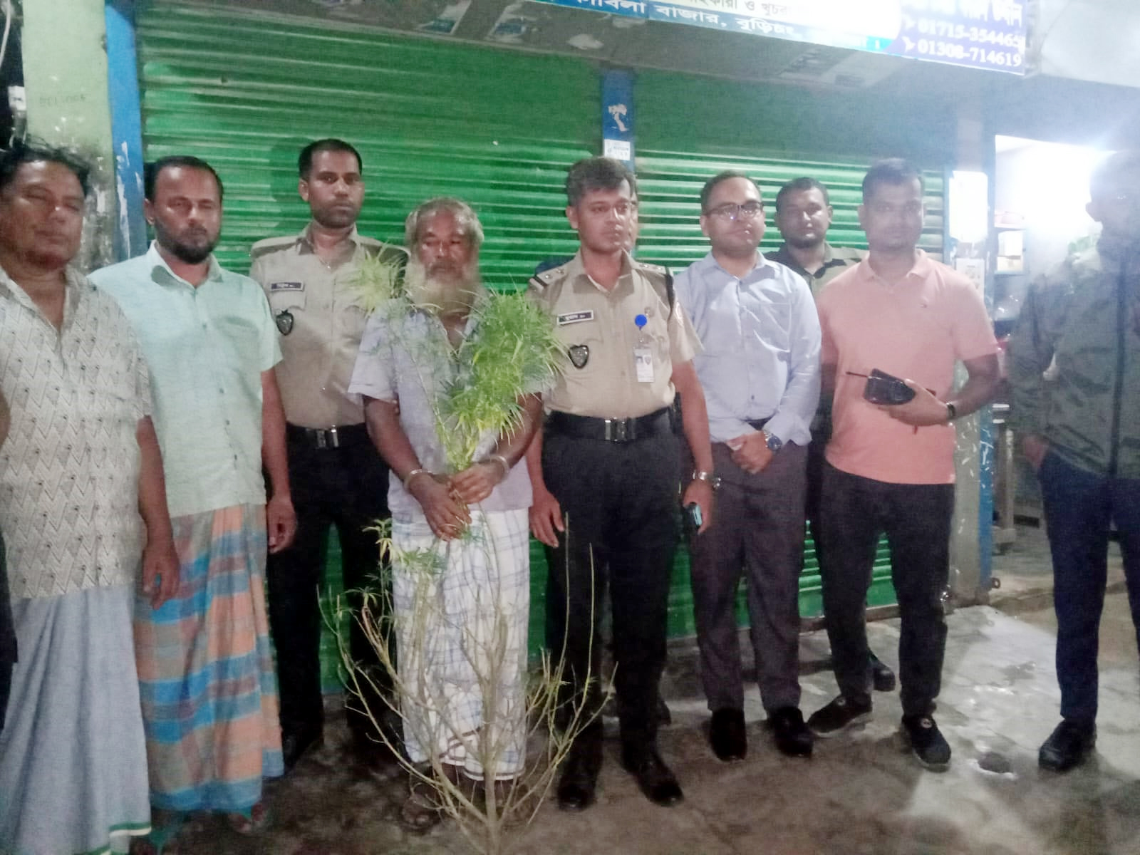 কুমিল্লায় সবজির জমিতে গাঁজার চাষ