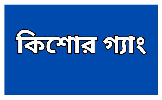 রাজনৈতিক নেতাদের আশ্রয়-প্রশ্রয়ে কিশোর গ্যাং
