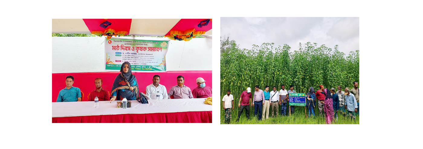 ব্রাহ্মণবাড়িয়ায় পাট ও কেনাফের মাঠ দিবস ও কৃষক সমাবেশ অনুষ্ঠিত