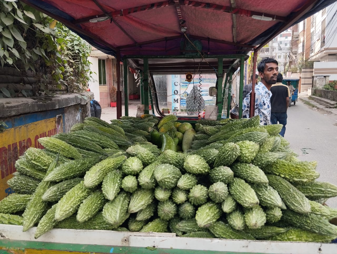 কুমিল্লার বাজারে শীতকালীন সবজির ছড়াছড়ি