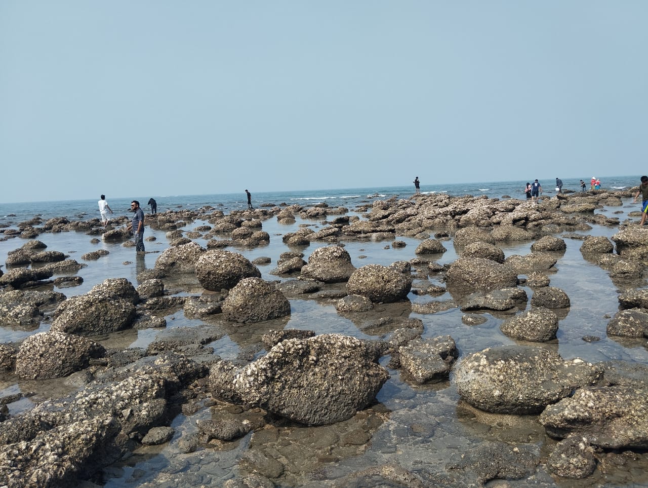 সেন্টমার্টিনের চার কিলোমিটার এলাকা নিয়ে মহাপরিকল্পনা নিচ্ছে সরকার, হারিয়ে গেছে শতাধিক প্রবাল প্রজাতি
