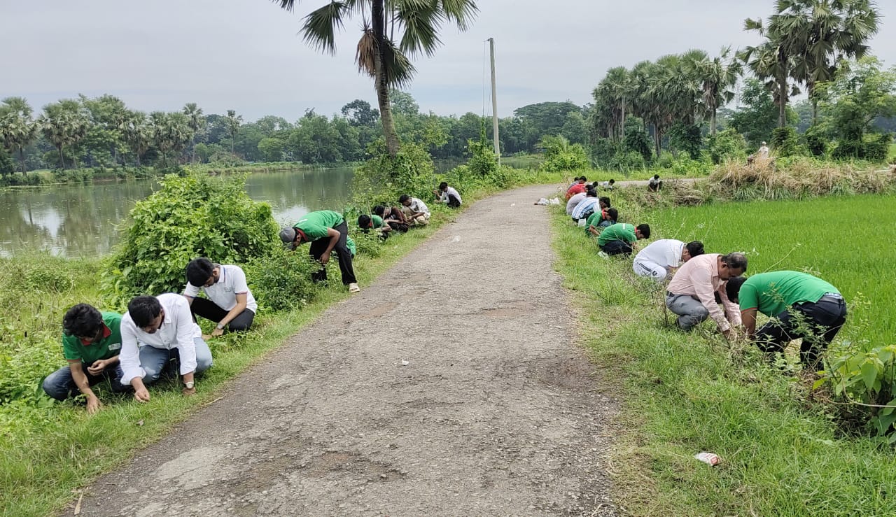 কুমিল্লায় বজ্রপাত প্রতিরোধে ৫ হাজার তালবীজ বপন