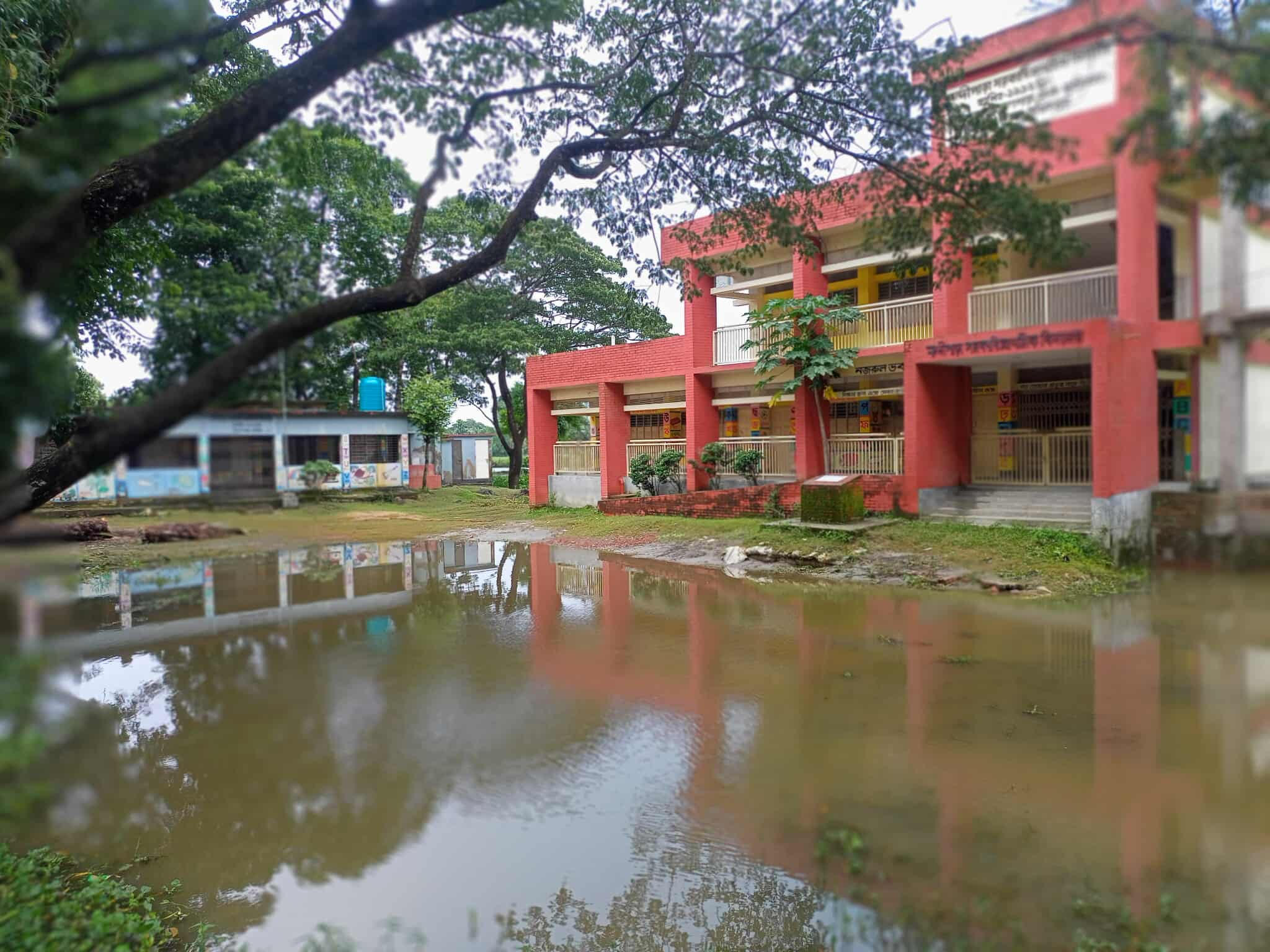 ব্রাহ্মণপাড়ায় বিদ্যালয় মাঠে জলাবদ্ধতা, শিক্ষার্থীদের দুর্ভোগ