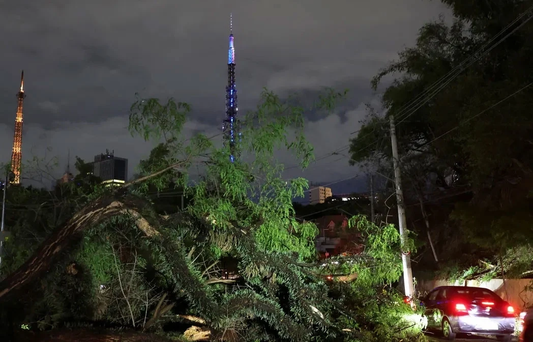 ব্রাজিলে টর্নেডোর আঘাতে ৫ জনের মৃত্যু