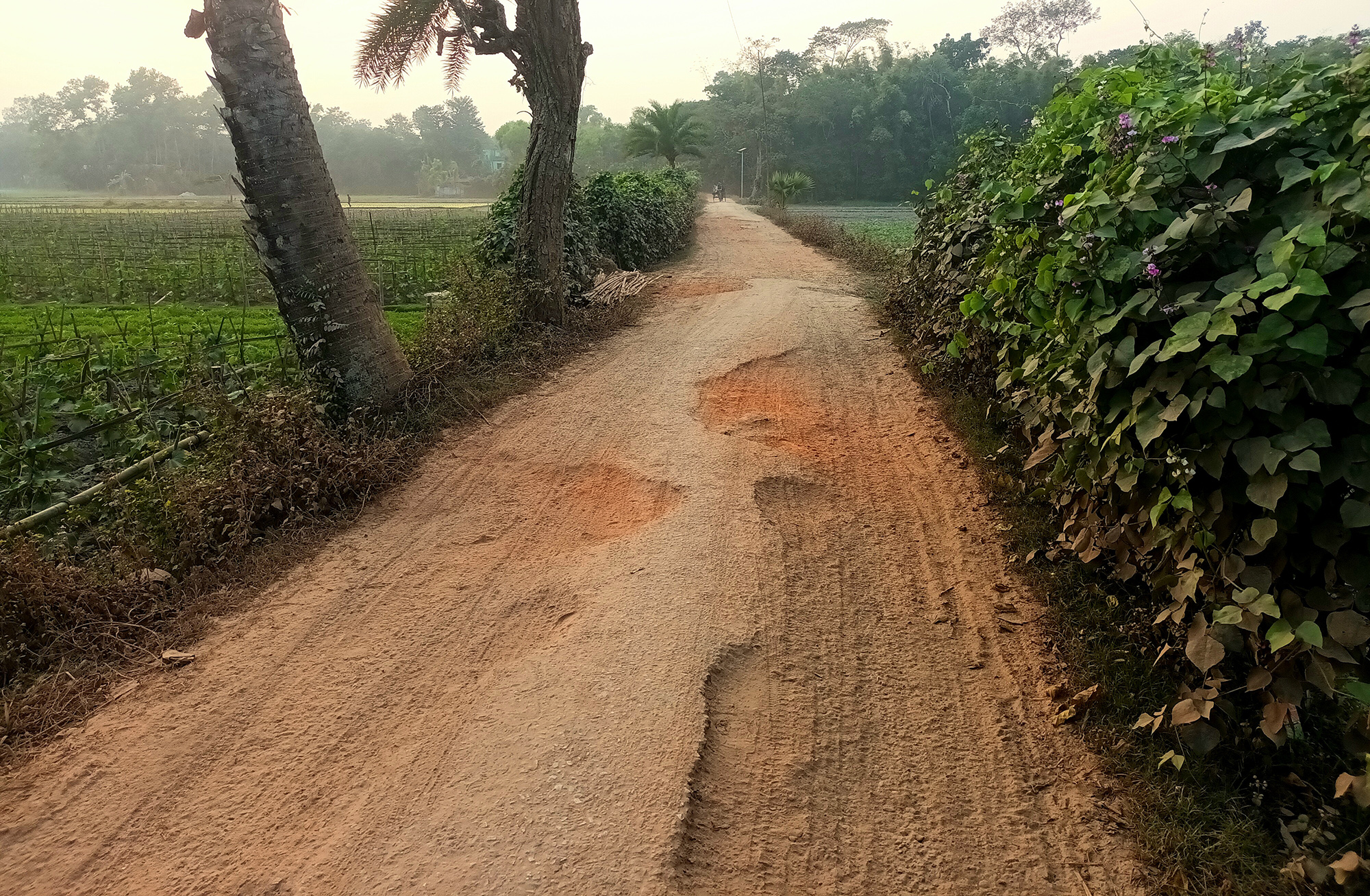 বরুড়া পৌরসভার সড়কের যাচ্ছেতাই অবস্থা, ভোগান্তি চরমে