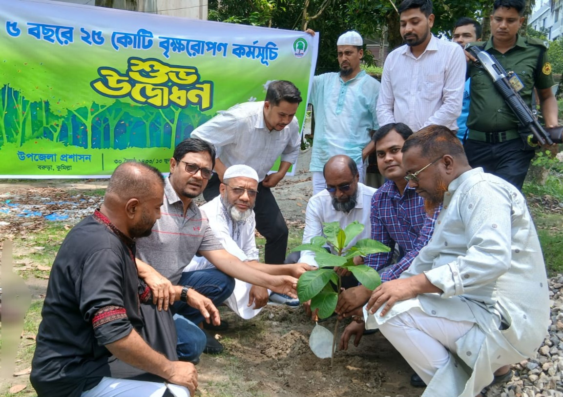 বরুড়ায় প্রধানমন্ত্রীর নির্দেশনায় বৃক্ষরোপণ কর্মসূচির উদ্বোধন