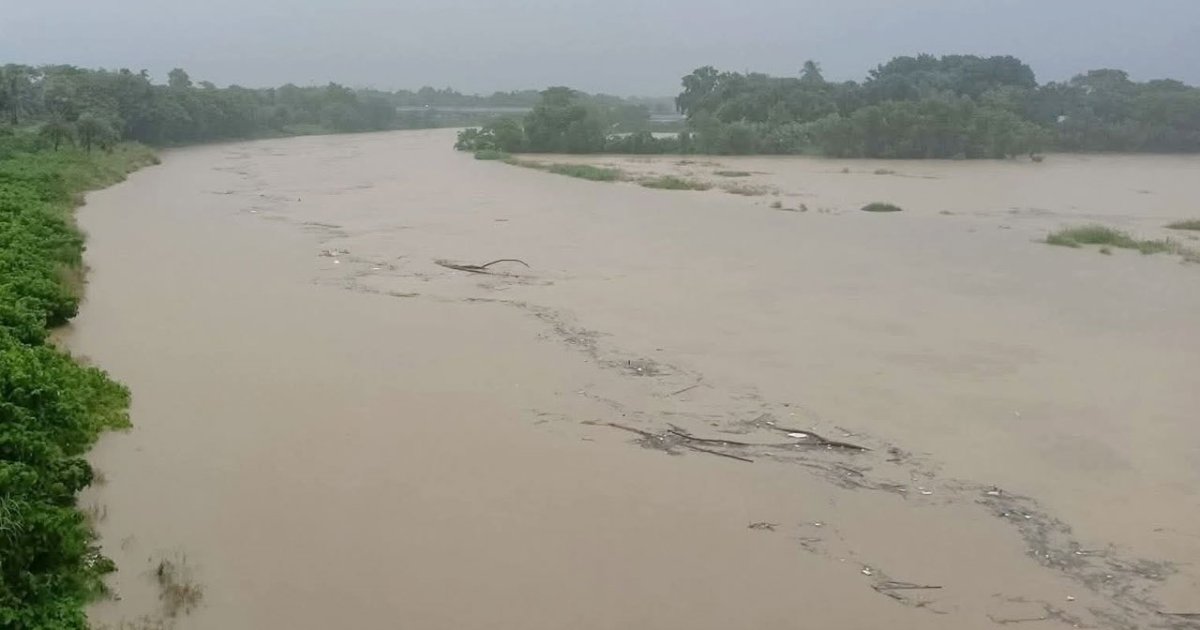 গোমতীর নদীর পানি বাড়ায় কুমিল্লার তিন উপজেলায় ফসল হারানোর শঙ্কায় কৃষকেরা