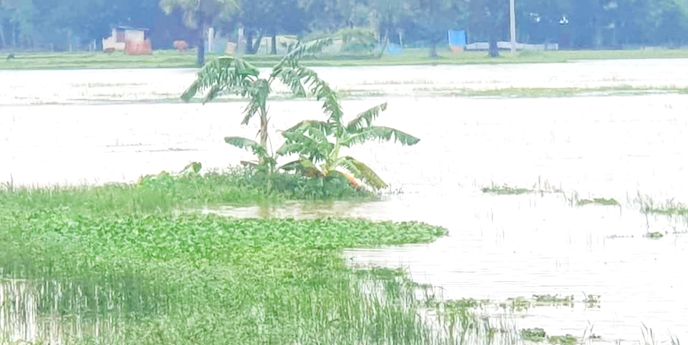 চৌদ্দগ্রামে আবারও বন্যার চোখ রাঙানি