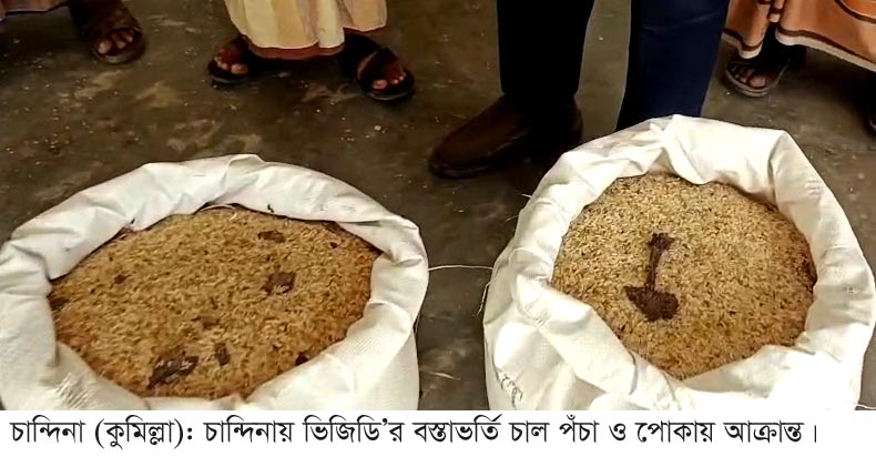 চান্দিনায় ভিজিডির বস্তা ভর্তি পঁচা চাল