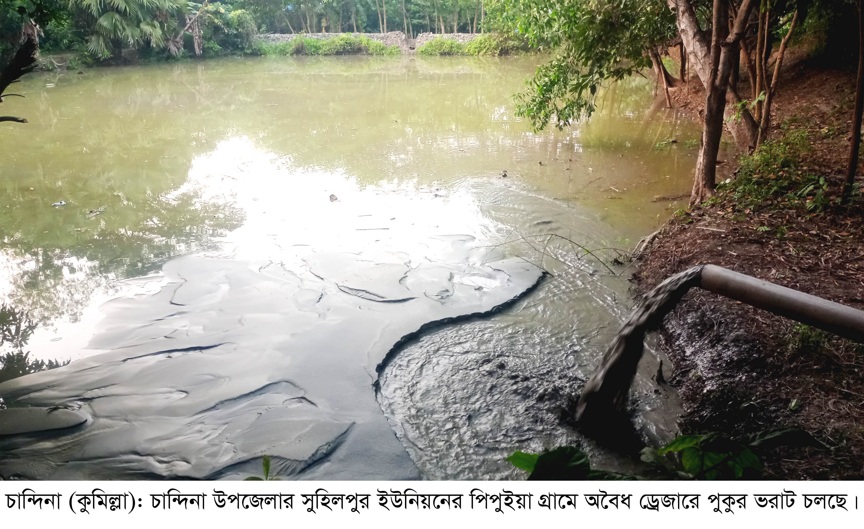চান্দিনায় ফসলি জমির মাটি কেটে পুকুর ভরাটের অভিযোগ