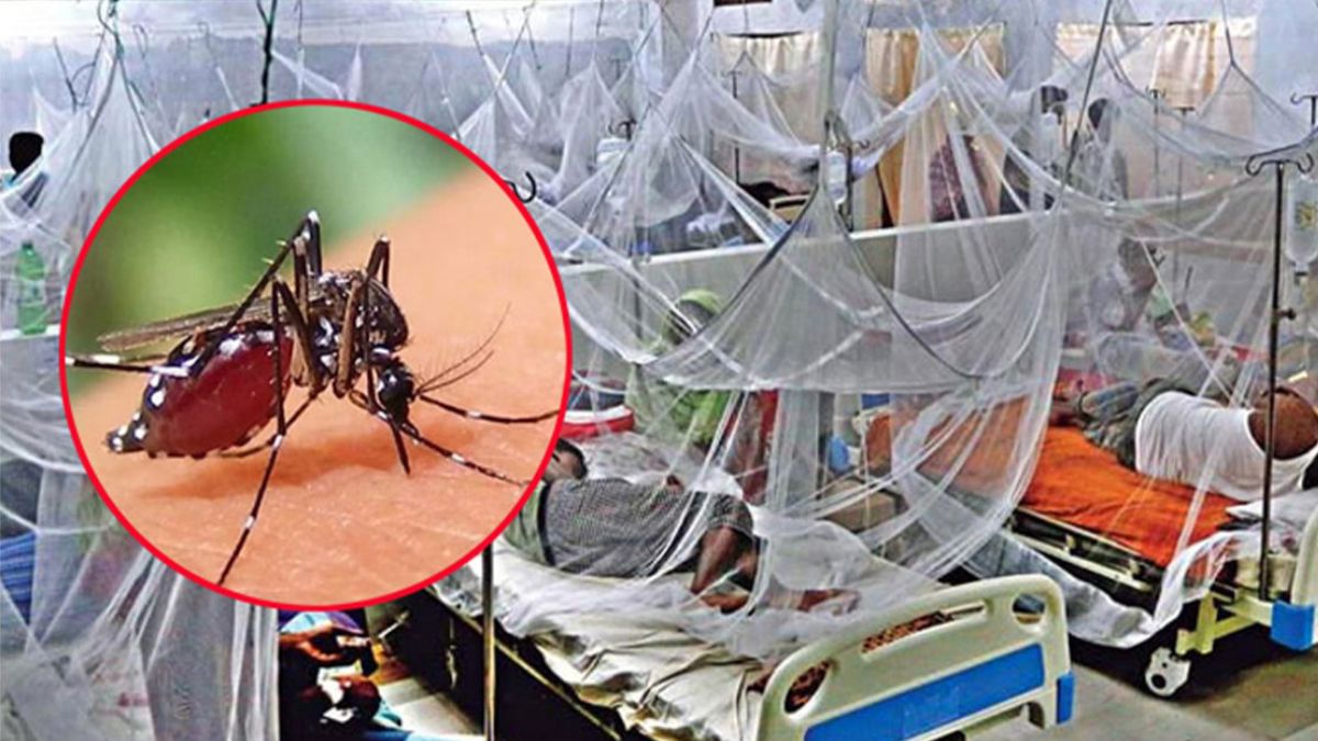 দাউদকান্দিতে ডেঙ্গুতে প্রাণ গেল আরও একজনের