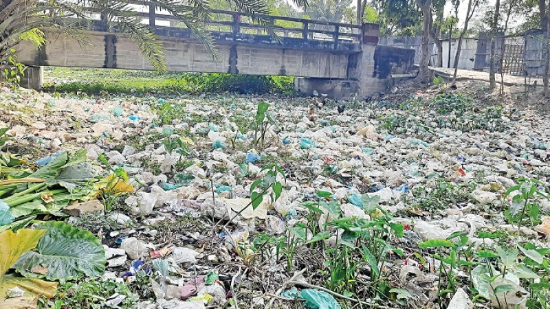 প্লাস্টিক ও পলিথিনের বর্জ্যে দূষণ কুমিল্লার পুকুর, খাল ও নালা