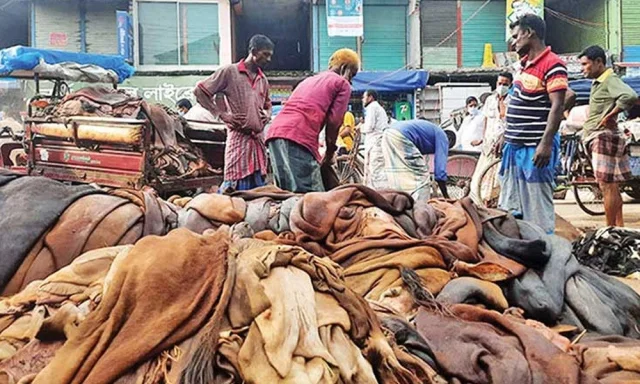 কুমিল্লায় চামড়া নিয়ে বিপাকে