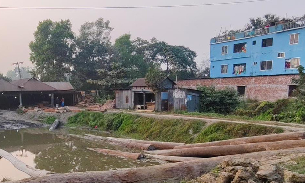 দাউদকান্দিতে সমিলের গাছ কাটায় বাড়ি-মসজিদে ফাটল