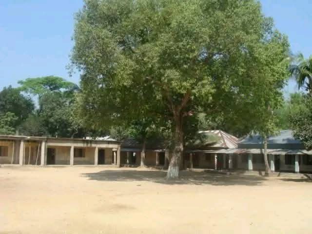 মৃদু বাতাসে পড়ে গেল শতবর্ষী জামগাছটি