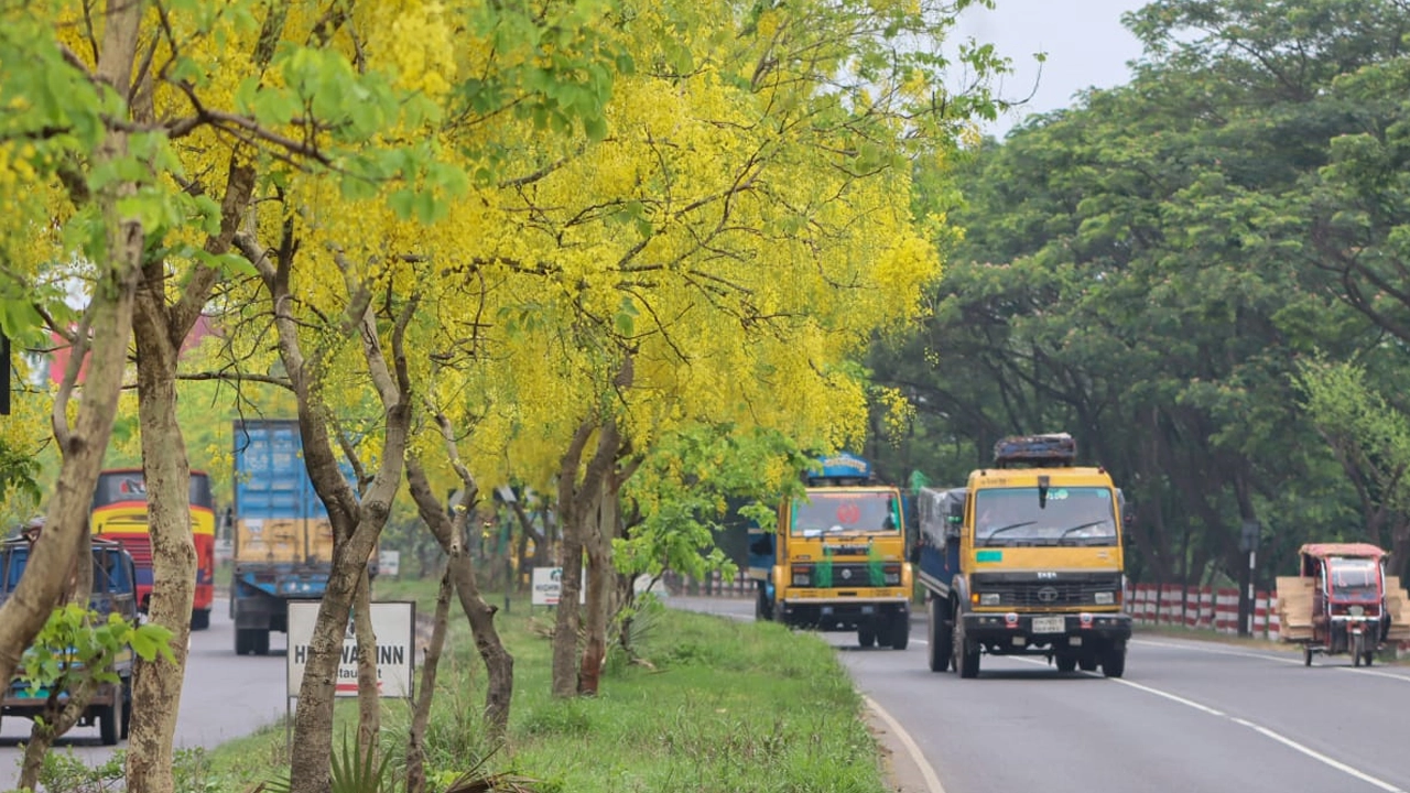 স্বাগত জানাচ্ছে সোনালু ফুল