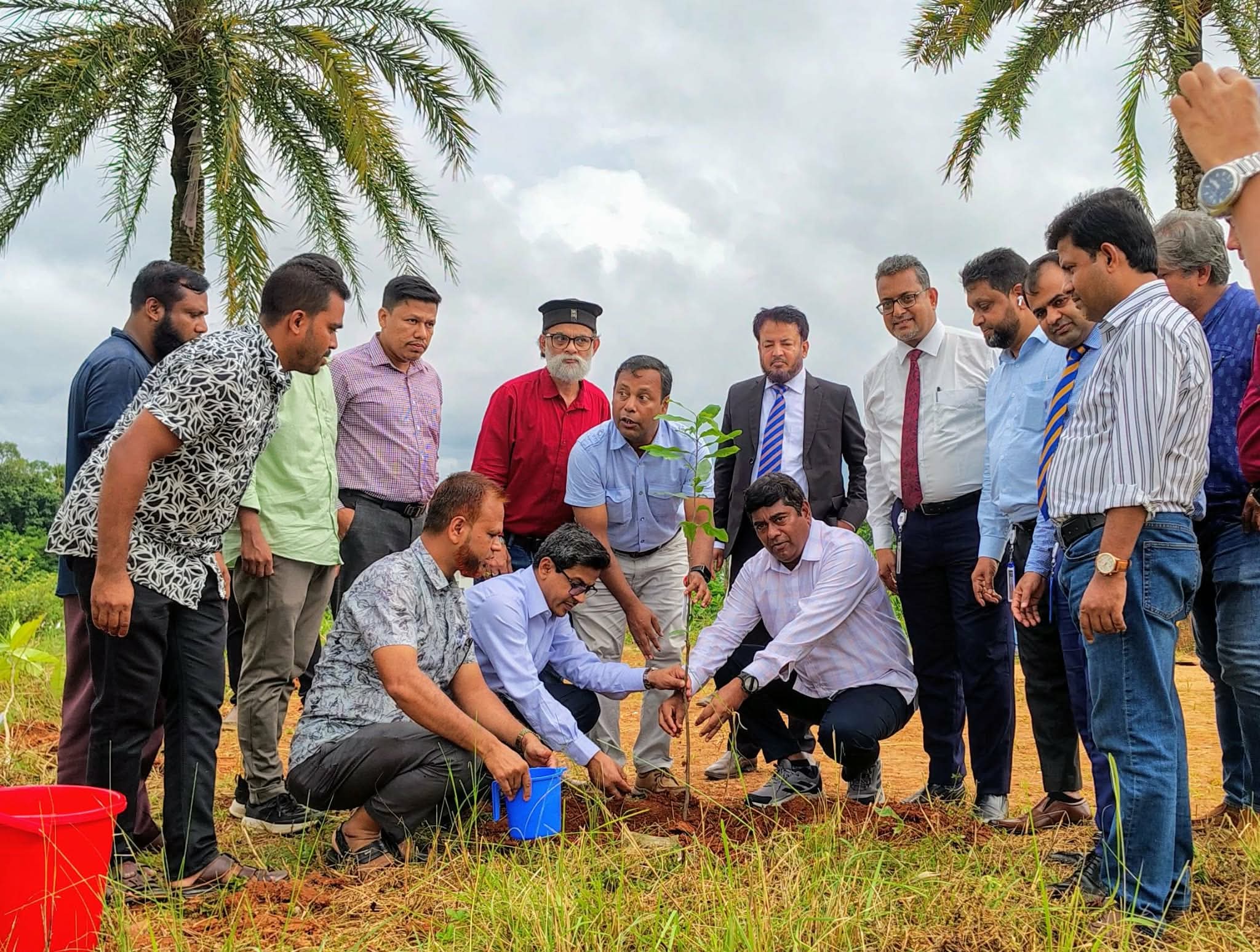 কুমিল্লা বিশ্ববিদ্যালয়ে ৩৫০০ দুর্লভ প্রজাতির গাছের চারা রোপণ