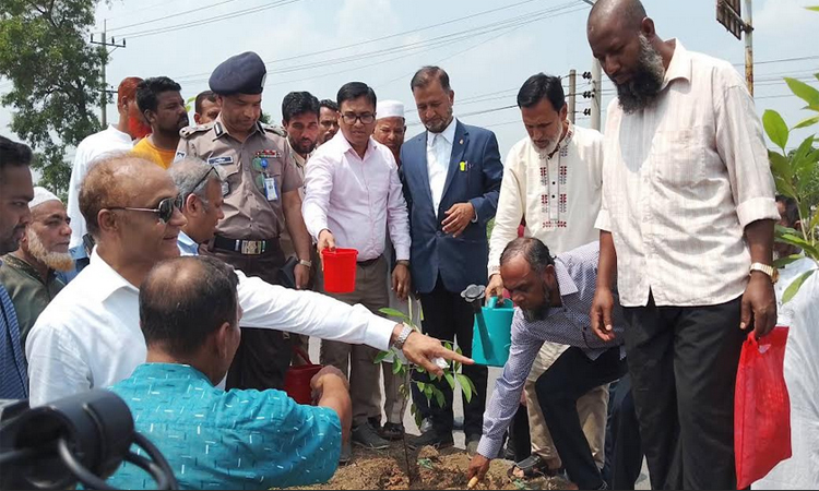 কুমিল্লায় বৃক্ষরোপণ কর্মসূচির উদ্বোধন