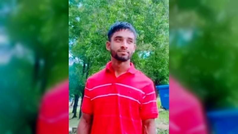 হোমনায় গাছ থেকে পড়ে যুবক নিহত