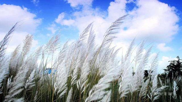 শরতের দিন শুরু আজ