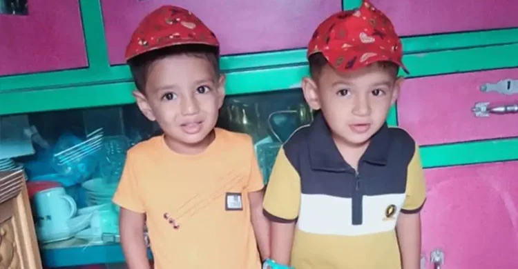 লালমাইয়ে পুকুরে ডুবে প্রবাসী পরিবারের দুই শিশুর মৃত্যু