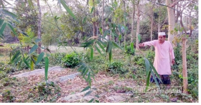 স্বাধীনতার ৫৪ বছরও সংরক্ষণ হয়নি মানরা গণকবর