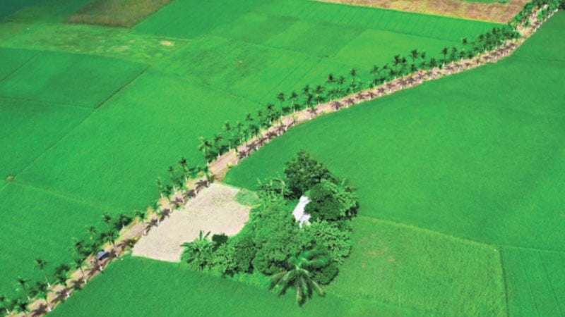 ঘুটঘুটে অন্ধকার গ্রামে আলোর ঝলকানি