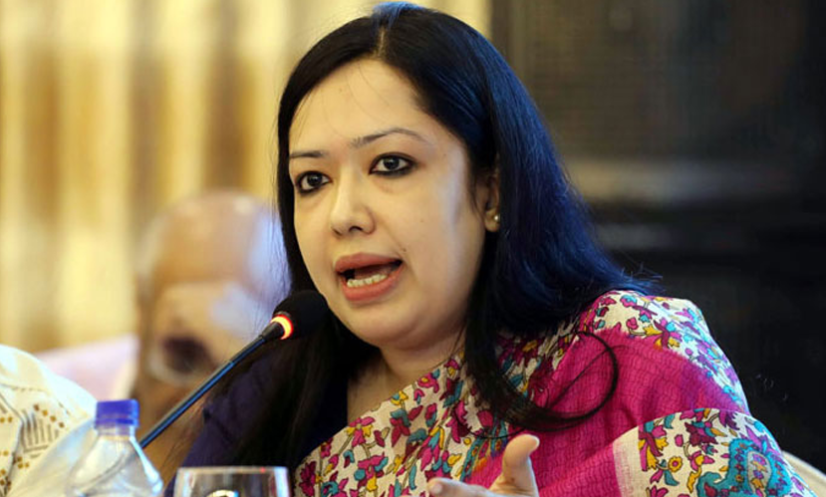 যতো দিন যাচ্ছে দেশের পরিস্থিতি খারাপ হচ্ছে, মব বাড়ছে: রুমিন ফারহানা